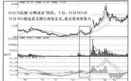 MACD+MA+VOL指标小鸭戏水组合