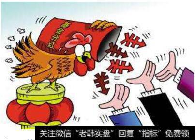 基金什么时候能分红？