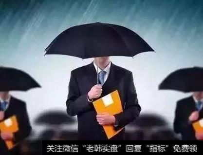 股东应享有什么权利？有什么权利？