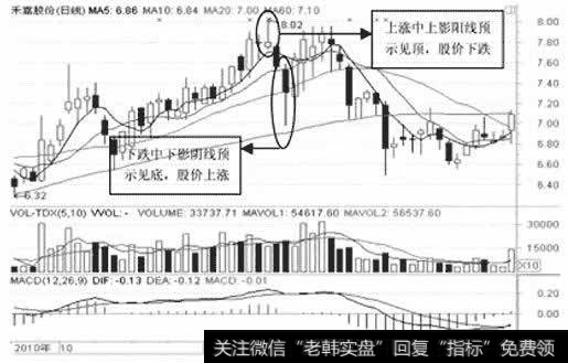 禾嘉股份日K线图