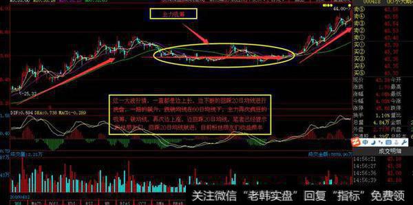 强庄股的主力是不是在洗盘要怎么判断？