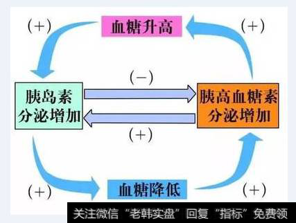 胰岛素市场格局将转换，三代胰岛素将崛起