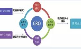 医药行业（CRO行业）深度报告：东风已至，腾飞在即