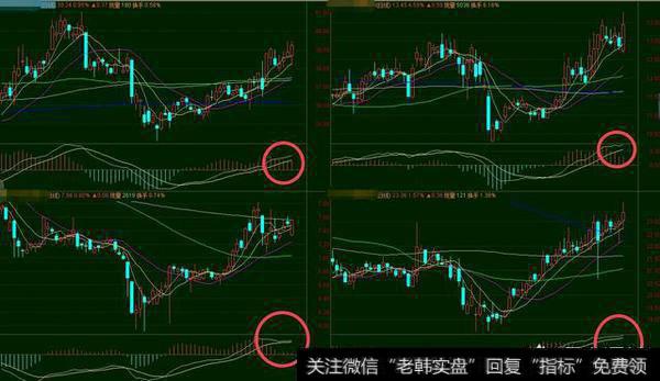 什么是“MACD佛手向上”形态？如何选取这种形态的股票？