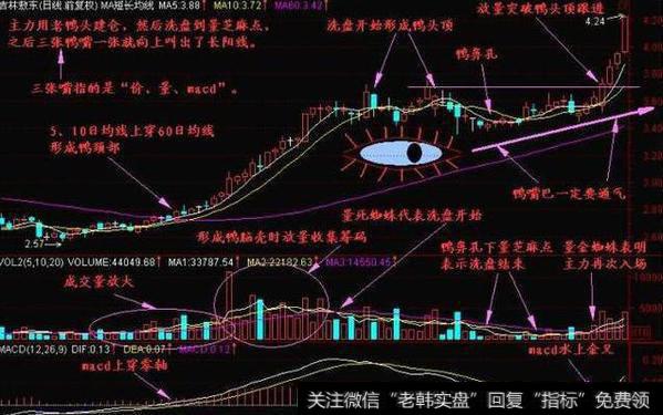 如何运用”老鸭头”典型趋势形态<a href='/cgjq/289085.html'>选牛股</a>？其形态有何意义？