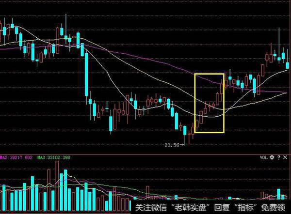 什么是“蚂蚁上树”形态?