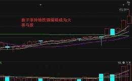 用换手率选牛股有什么要注意的？具体要怎么操作？