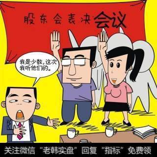 股权协议可以把股份利益和决策权分开体现吗？