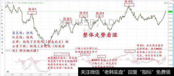 如何运用技术指标精确判断反弹顶部？