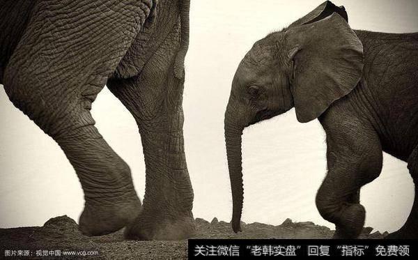 散户们股市中<a href='/cgjq/289085.html'>选牛股</a>秘诀,F10的秘密有哪些?