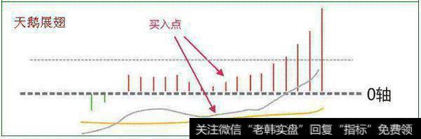 怎么用MACD抓涨停牛股？要注意什么？