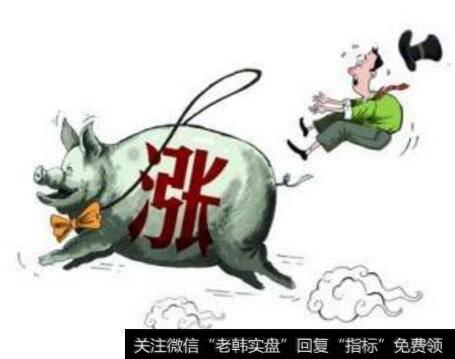 生猪会迎来新一轮“牛市”吗?