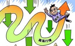 蒋菲最新股市消息:反复震荡将是主基调