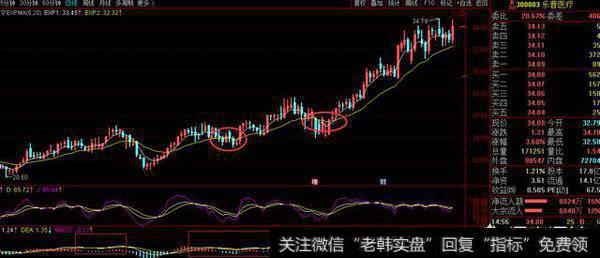 新手该如何抄底强庄股，有什么技巧？