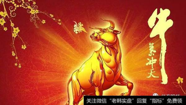 关于止损后怎么操作？