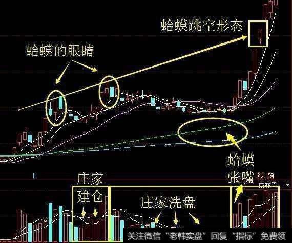 “蛤蟆跳空”形态该怎么看？