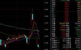 “张家港行”连续跌停的原因，难道真的是因为限售股解禁吗？
