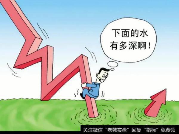 所有乐视网股民如何维权?