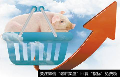 猪价反弹