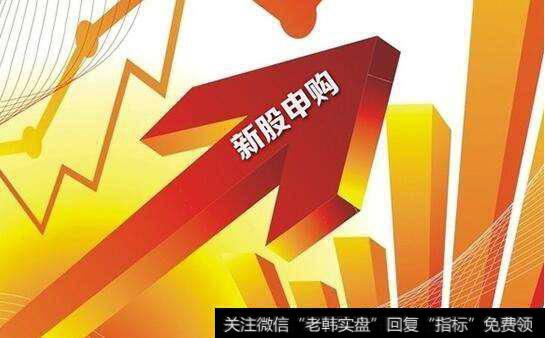 新股在网上怎样申购？