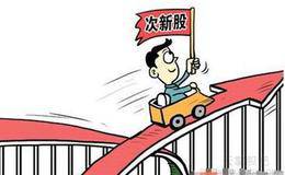 请问自打新规则调整后，<em>新股中签率</em>最低的股票是哪只？