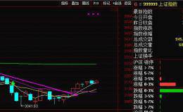 《A股微策略》第38期—反弹不放量只有一个结局