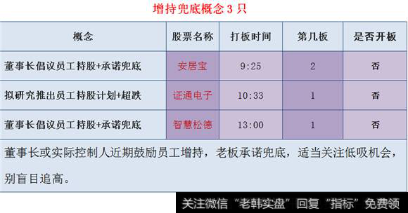 增持兜底概念