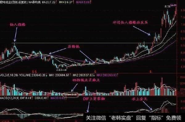 一招“仙人指路”选股战法，堪称经典，散户可扭亏为盈！