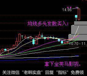 黑太阳与主力操盘计划