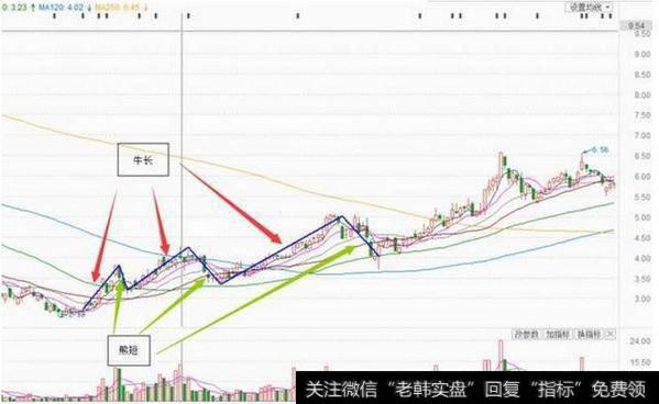 牛长熊短