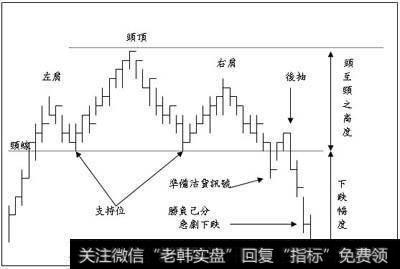 头肩式