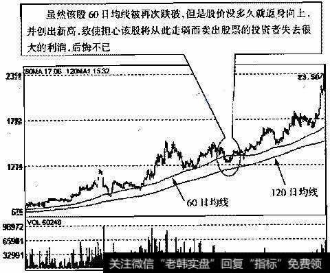 海螺水泥（600585）2005年10月20日～2006年11月27日的日K线走势图