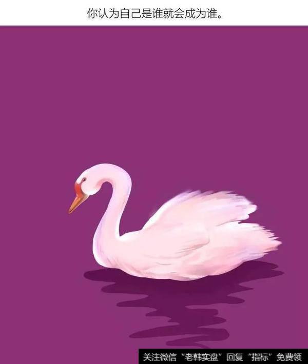 该投资一只股票，还是该投资多只股票？