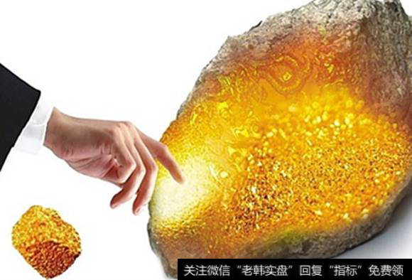 每日金股