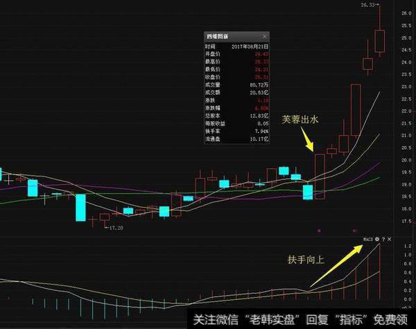 一旦“出水芙蓉”形态一出现，拉升在即，砸锅卖铁跟进必赚一笔！