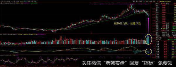 保险板块新年秀该露脸了，中国人寿的“早晨之星”能否带来希望？