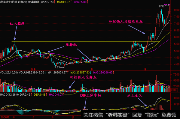 如何判断仙人指路，看完之后在也不亏钱（股民须知）重要的说三遍
