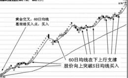 日的解分应技详巧战析用均5例案线实及