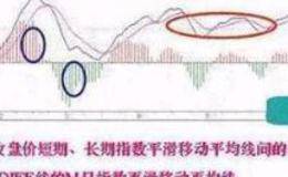 中国股市高级操盘手详解MACD指标高级应用，强势股龙头股十拿九稳