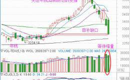 「吉时擒龙」两只牛股：一只多头排列，一只底部强势启动