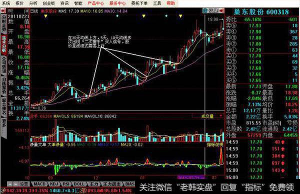 巢东股份（600318）