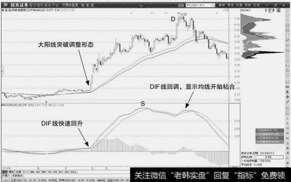 兔宝宝：突破建仓机会