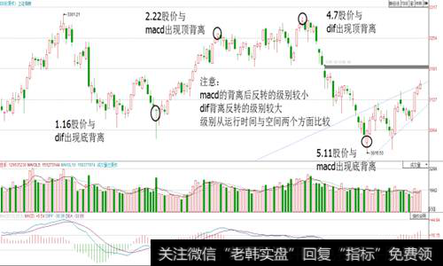 Macd背离与dif背离的区别