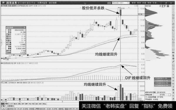 武汉控股：反转走势