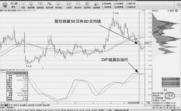 如何利用DMA指标判断做空机会