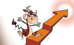 股票投资者<em>如何止损</em>