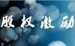 【打假】股权激励