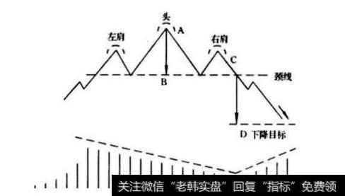 形态分析