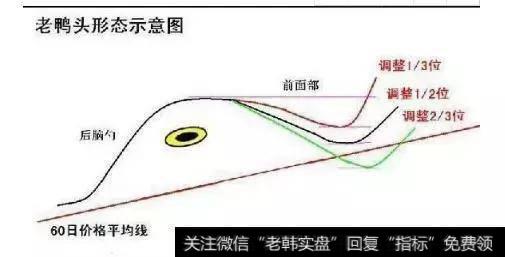 老鸭头