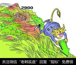 延续弱势大幅走低